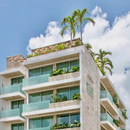 Newport House Playa Boutique Hotel-2
